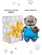 Мягкая игрушка «Кот Басик Baby», с ёжиком, 20 см - Фото 2