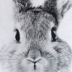 Постельное бельё Этель 1,5 сп "Cute rabbit", 143х215 см, 150х214 см, 50х70 см -1 шт, 100 % хлопок, бязь - Фото 3