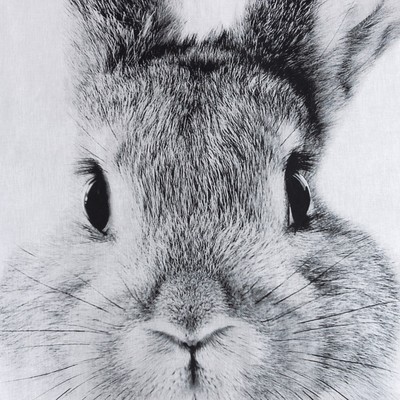 Постельное бельё 1.5-спальное «Этель» Cute rabbit, бязь