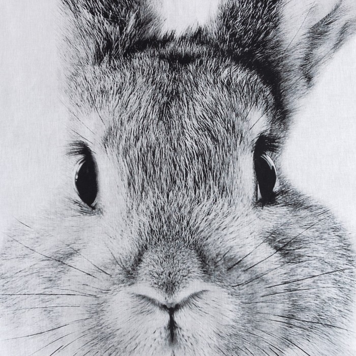 Постельное бельё Этель 1,5 сп "Cute rabbit", 143х215 см, 150х214 см, 50х70 см -1 шт, 100 % хлопок, бязь - фото 1911754078