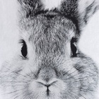 Постельное бельё 1.5-спальное «Этель» Cute rabbit, бязь - Фото 4
