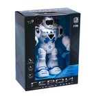 Робот «Герой», световые и звуковые эффекты, работает от батареек, цвет синий - фото 8956179