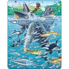 Пазл Larsen «Горбатые киты в стае сельди», 140 элементов - фото 296399345