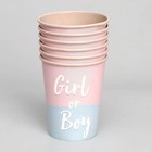 Набор бумажной посуды «Мальчик /Девочка» - Фото 3