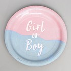 Набор бумажной посуды одноразовый Мальчик /Девочка» - фото 4610417