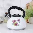 УЦЕНКА Чайник со свистком Доляна «Колибри», 3 л, с индикатором нагрева, индукция - Фото 2