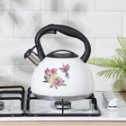 УЦЕНКА Чайник со свистком Доляна «Колибри», 3 л, с индикатором нагрева, индукция - Фото 7