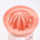 Соковыжималка для цитрусовых ручная Renga «Сомбреро», 600 мл, 11×19 см, тритан, МИКС - Фото 4