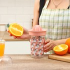 Соковыжималка для цитрусовых ручная Renga «Сомбреро», 600 мл, 11×19 см, тритан, МИКС - Фото 7