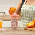 Соковыжималка для цитрусовых ручная Renga «Сомбреро», 600 мл, 11×19 см, тритан, МИКС - Фото 8