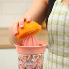 Соковыжималка для цитрусовых ручная Renga «Сомбреро», 600 мл, 11×19 см, тритан, МИКС - Фото 9