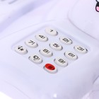 Музыкальный телефон «Весёлый зайчик», белый, звук 7585502