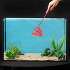 Сачок аквариумный 10 см, красный - Фото 1