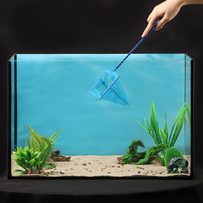 Сачок аквариумный 12,5 см, синий - Фото 1