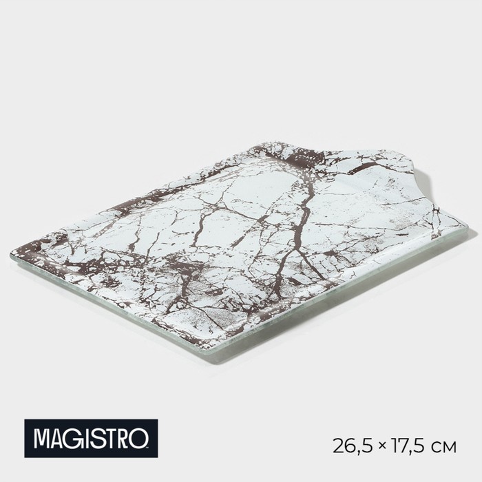 Блюдо стеклянное сервировочное Magistro «Мрамор», 26,5×17,5×2 см, цвет белый - Фото 1