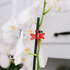 Клипса для растений «Стрекоза», набор 10 шт., МИКС, Greengo - Фото 12