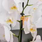 Клипса для растений «Стрекоза», набор 10 шт., МИКС, Greengo - Фото 14