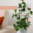 Клипса для растений «Стрекоза», набор 10 шт., МИКС, Greengo - Фото 4