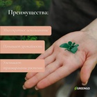 Клипса для растений «Бабочка», набор 10 шт., МИКС - Фото 4