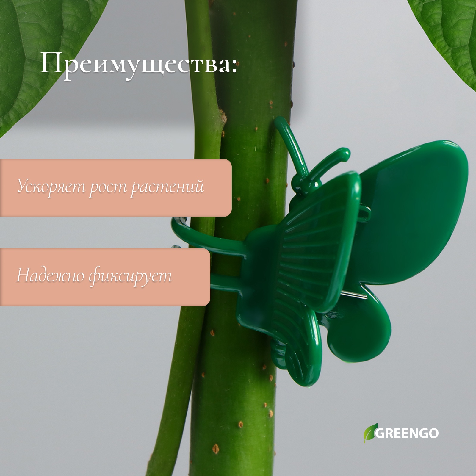 Бабочки С Цветами Купить