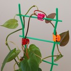 Клипса для растений, набор 10 шт., МИКС, Greengo - Фото 8