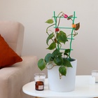 Клипса для растений, набор 10 шт., МИКС, Greengo - Фото 6