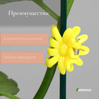 Клипса для растений «Цветок», набор 10 шт., МИКС - Фото 3