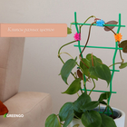 Клипса для растений «Цветок», набор 10 шт., МИКС, Greengo - Фото 4