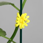 Клипса для растений «Цветок», набор 10 шт., МИКС, Greengo - Фото 9