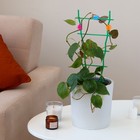 Клипса для растений «Цветок», набор 10 шт., МИКС, Greengo - Фото 10