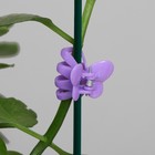 Клипса для растений «Мини Бабочка», набор 10 шт., МИКС - фото 9802328