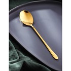 Ложка столовая Magistro Elegance, длина 21 см, толщина 2 мм, нержавеющая сталь, золотистая - Фото 1