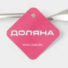 Половник из нержавеющей стали Доляна Bend, 30×9 см, цвет серебряный 7649011 Половник из нержавеющей стали Доляна Bend, 30×9 см, цвет серебряный 7649011