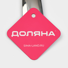 Ложка для соуса из нержавеющей стали Доляна Everyday, 50 мл, 26.5×10 см, толщина 3 мм, серебристая - Фото 8