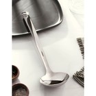 Ложка разливательная из нержавеющей стали Доляна Everyday, 85 мл, 35,5×9,5 см, толщина 3 мм, цвет серебряный - фото 21640029