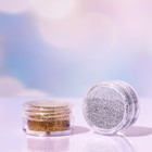 Косметический глиттер в баночке «Золото и серебро» набор, 2шт. по 5 г - фото 9802530