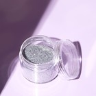 Косметический глиттер в баночке «Серебро», 20 г - Фото 2