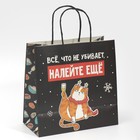 Пакет подарочный «Давай наливай», 22 х 22 х 11 см, Новый год - фото 21640110