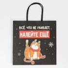 Пакет подарочный «Давай наливай», 22 х 22 х 11 см, Новый год - фото 21640112