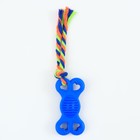 Игрушка жевательная с канатом "Косточка на привязи", 9,5 см, синяя - Фото 2