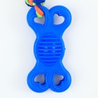 Игрушка жевательная с канатом "Косточка на привязи", 9,5 см, синяя - Фото 4
