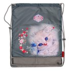 Ранец школьный Стандарт, раскладной, 35×22×12 см, Across 191, наполнение: мешок, серый ACR22-191-9 - Фото 12