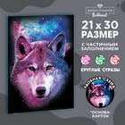 Алмазная мозаика «Взгляд волка» - фото 1330996