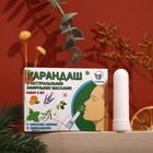 Карандаш-ингалятор от простуды с мятой и эвкалиптом, набор 5 шт - Фото 1