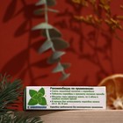 Карандаш-ингалятор от простуды с ментолом - Фото 4