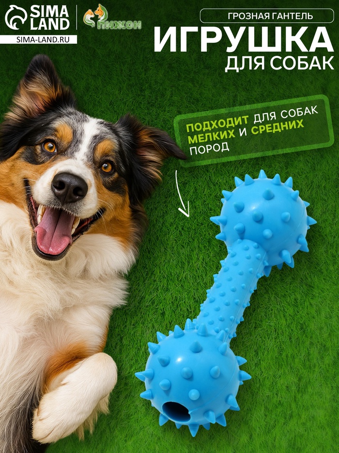 Жевательная игрушка для собак «Грозная гантель», 15×5 см, синяя - Фото 1