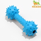Жевательная игрушка для собак «Грозная гантель», 15×5 см, синяя - Фото 3