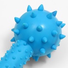 Жевательная игрушка для собак «Грозная гантель», 15×5 см, синяя - Фото 5