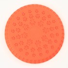 Фрисби "Летающая тарелка", 23 см, оранжевый - фото 6626621