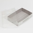 Кондитерская упаковка, коробка для макарун с PVC крышкой, «Дерево», 18×12×3.5 см 7729548